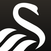 www.swanseacity.com